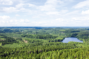 upm-nordic-landscape-summer.jpg