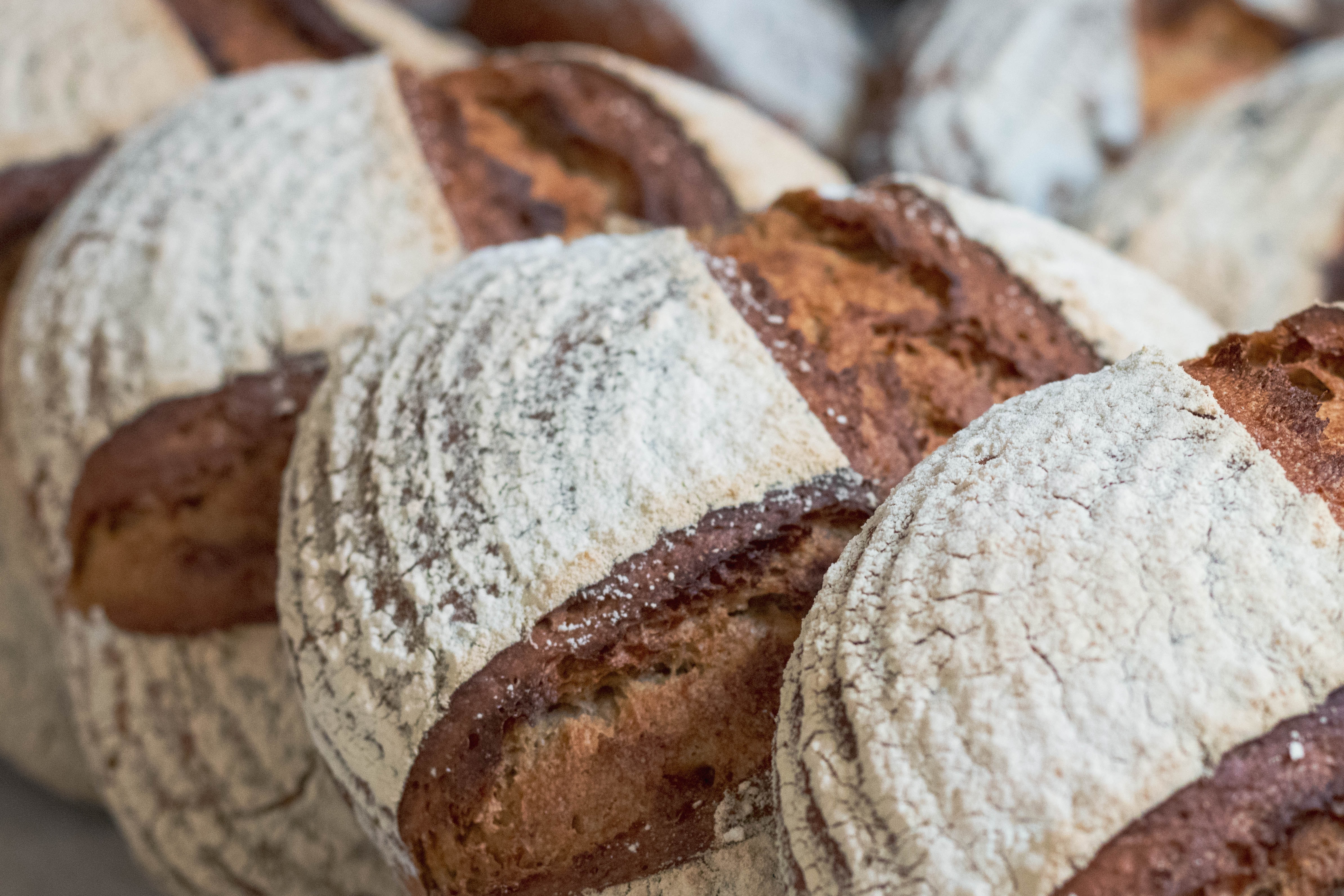 Rye bread_DDP_unsplash.jpg